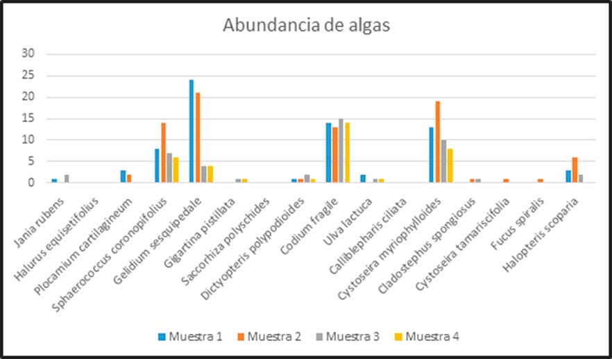 Muestreo de noviembre Muestreo de noviembre